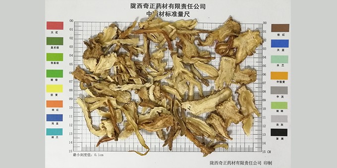 当归0.3cm以上全归片